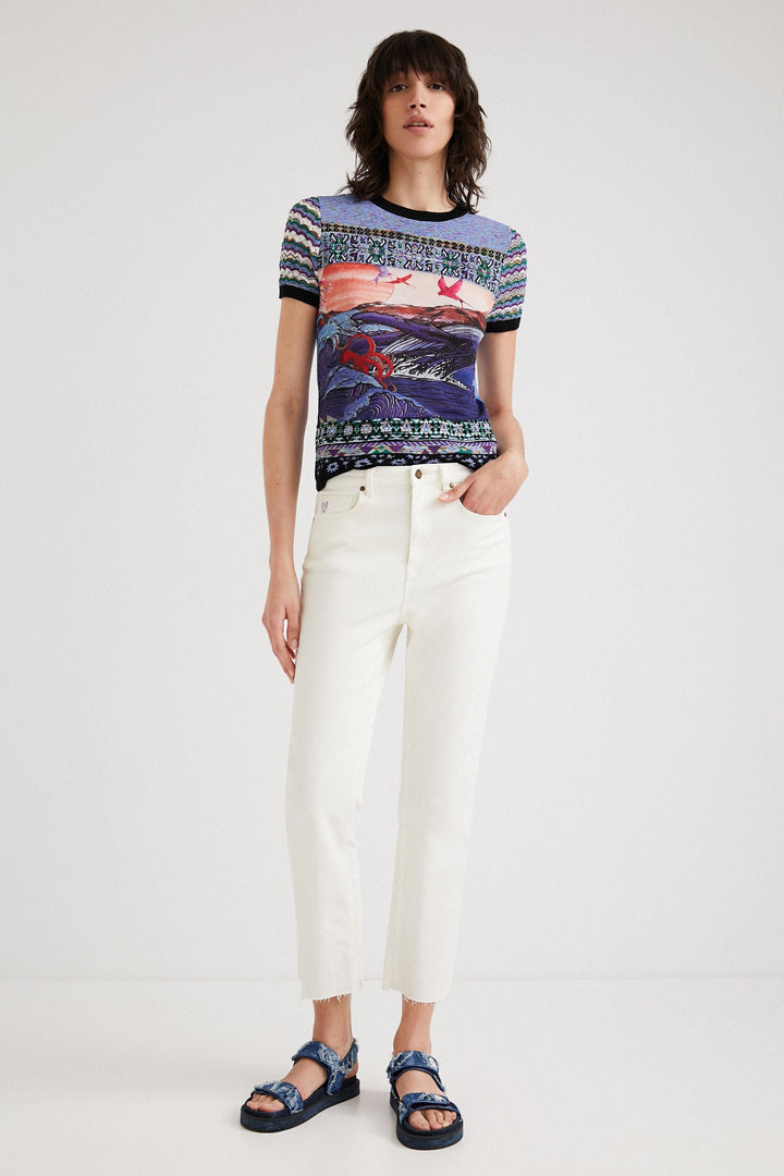 Embroidered Horizon Short Sleeve Top
