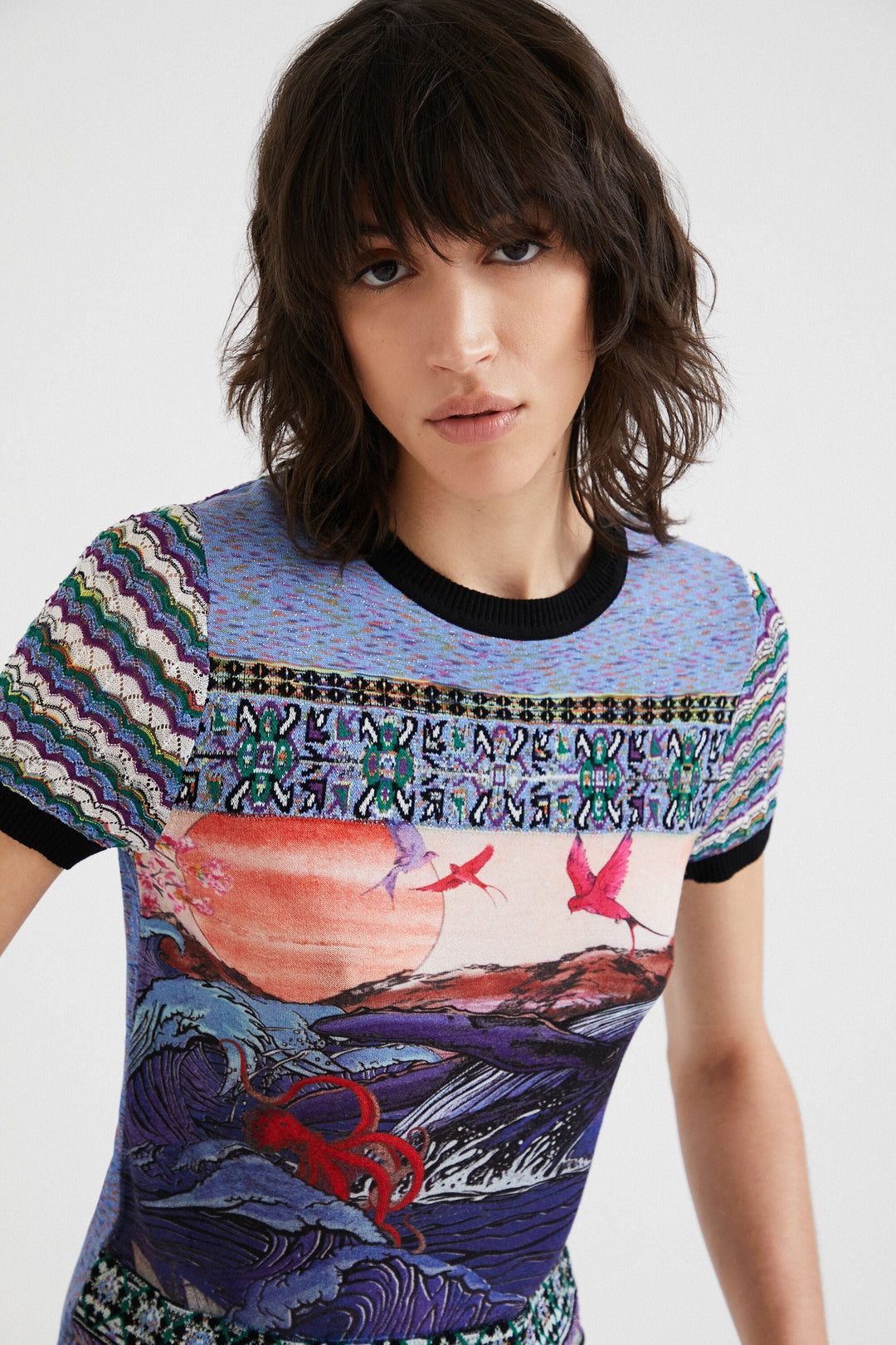 Embroidered Horizon Short Sleeve Top